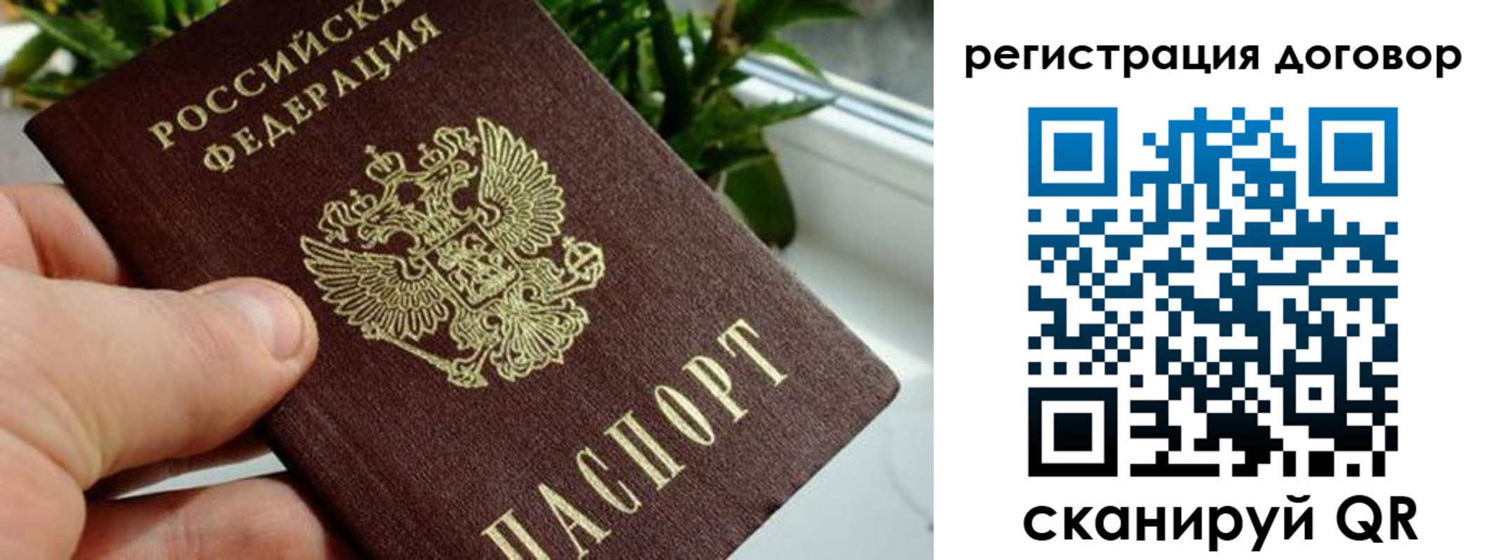 прописка ребенка в Чапаевске